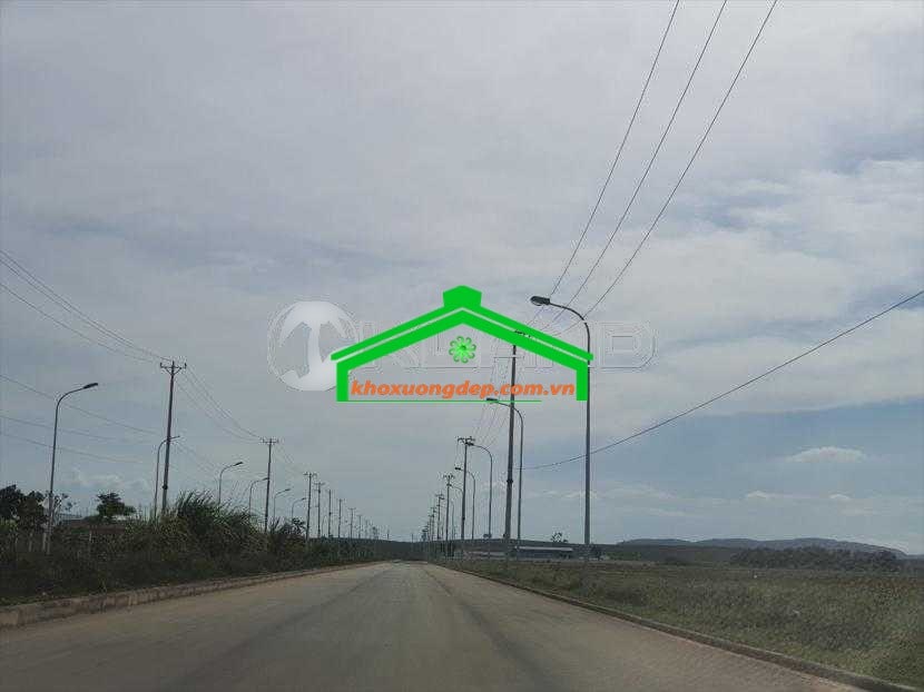 Ảnh 11