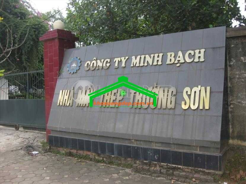 Ảnh 5