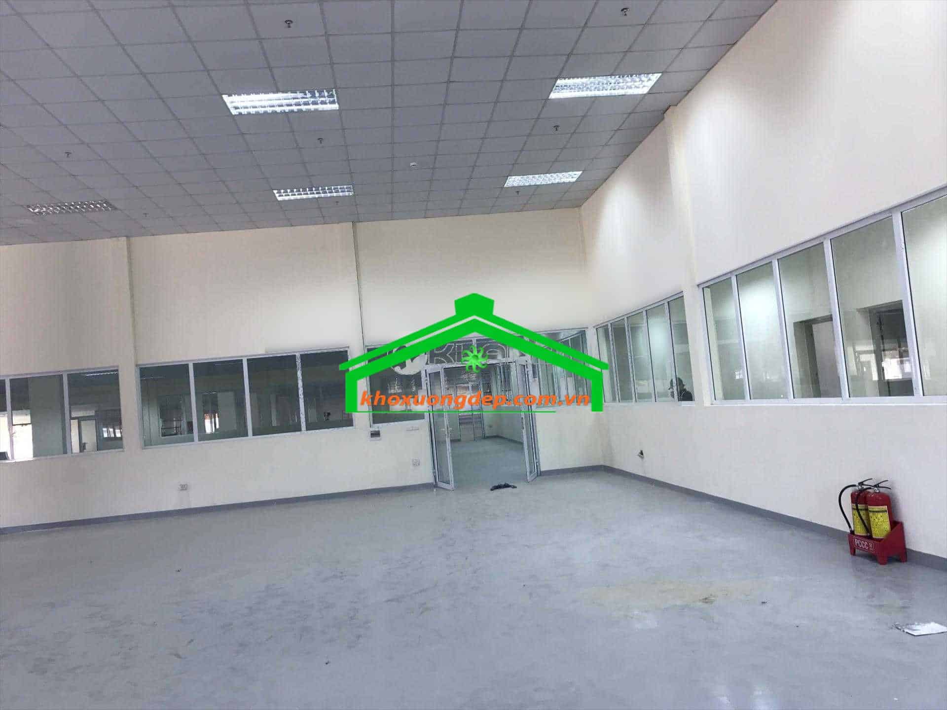 Ảnh 8