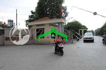 Ảnh 3