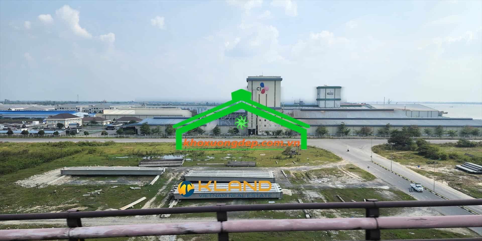 Ảnh 11