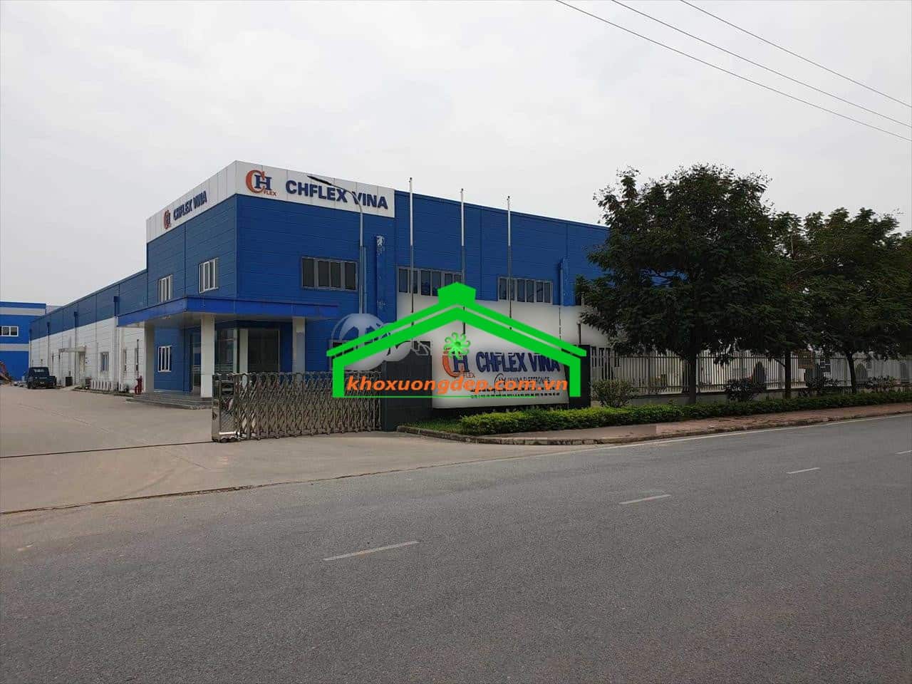 Ảnh 12