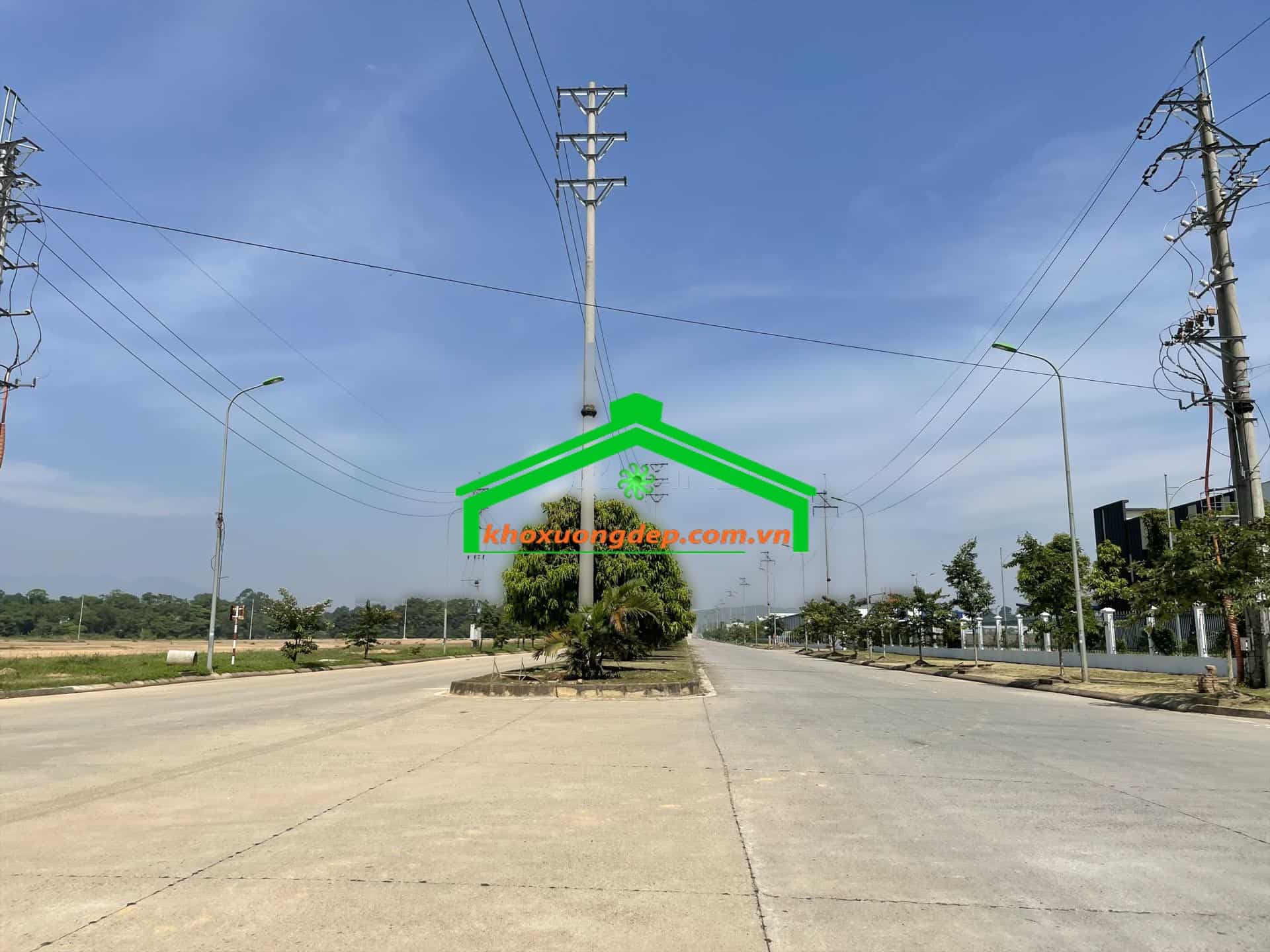 Ảnh 8