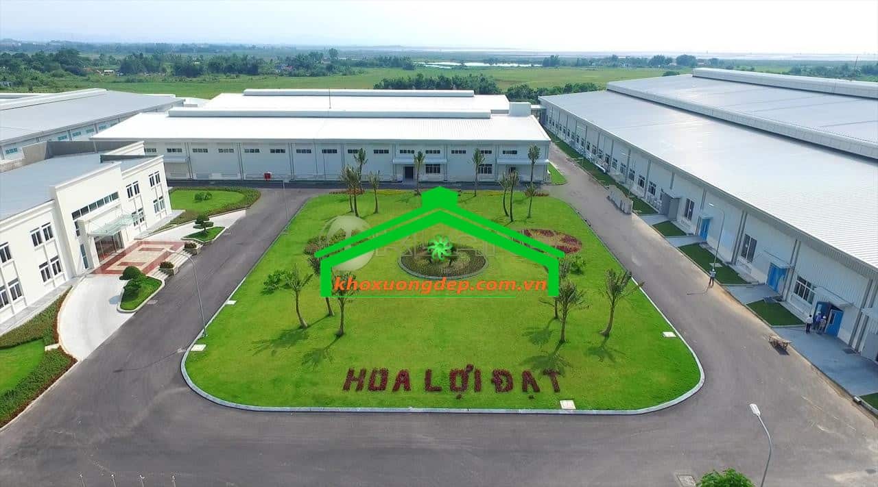Ảnh 8