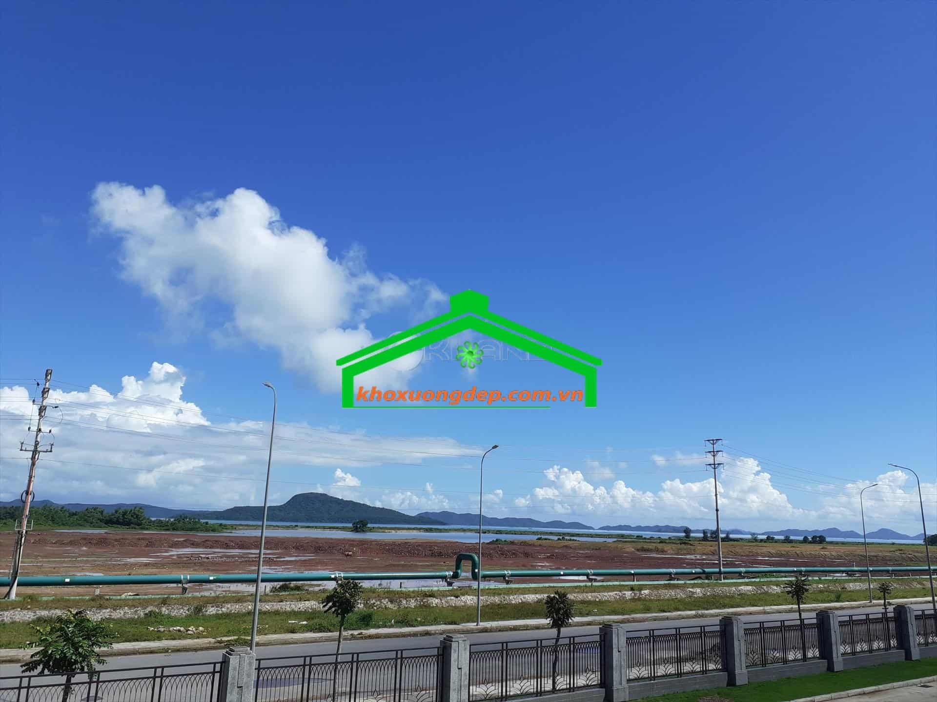 Ảnh 9