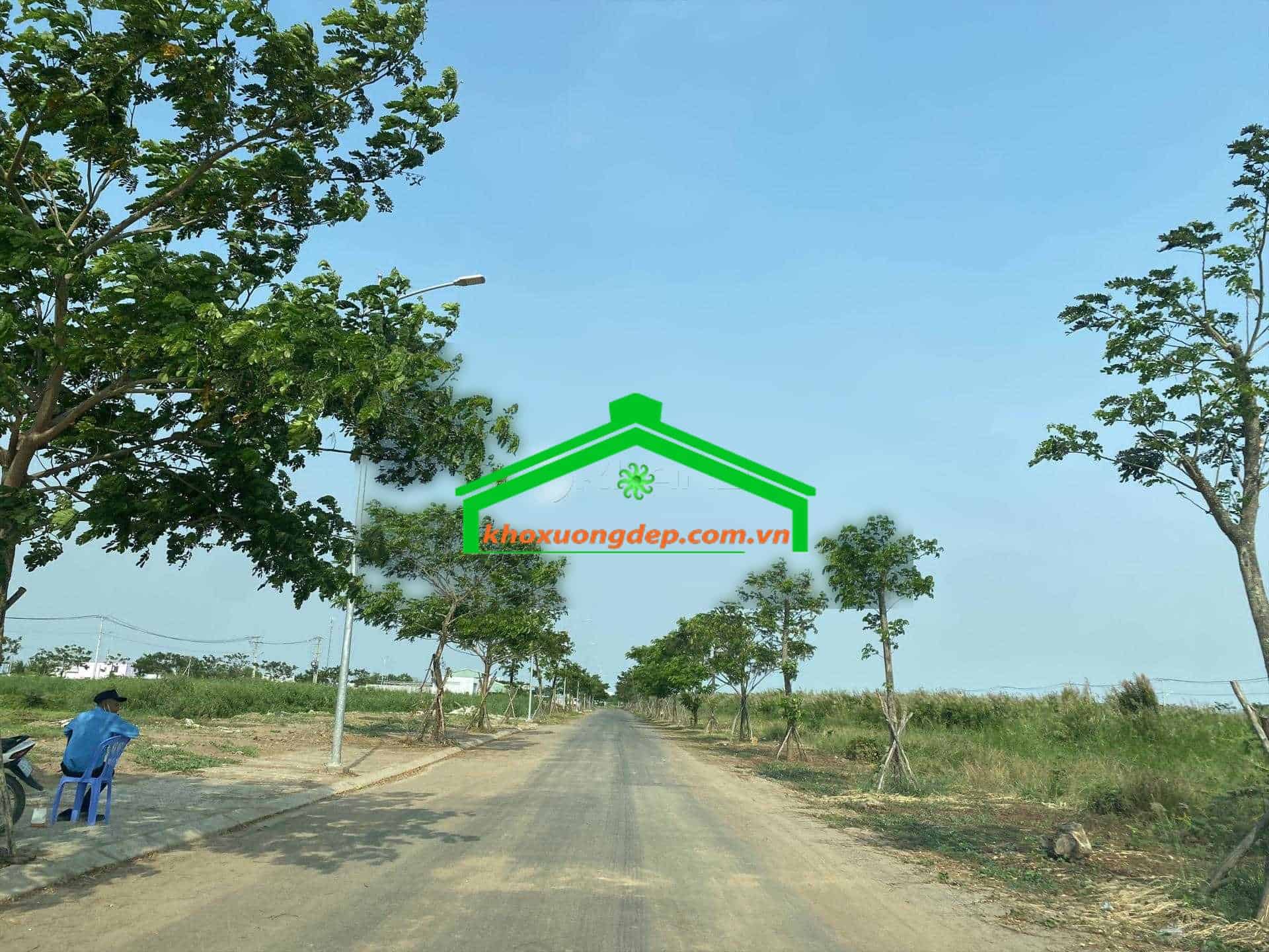 Ảnh 12