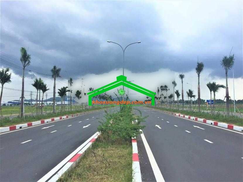 Ảnh 9