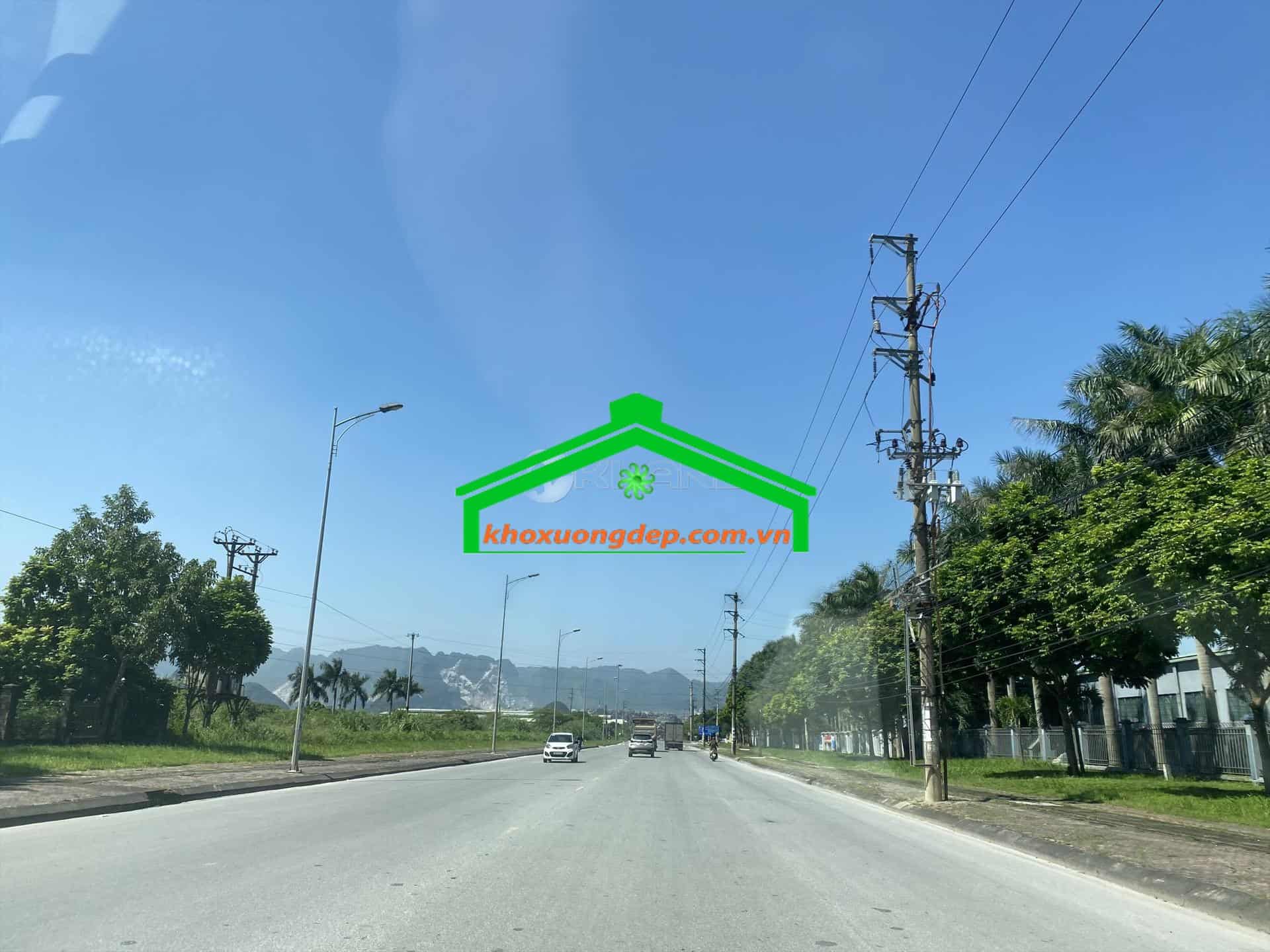 Ảnh 7