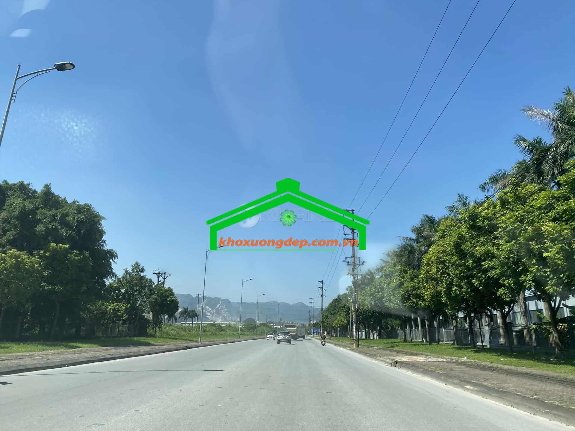 Ảnh 8