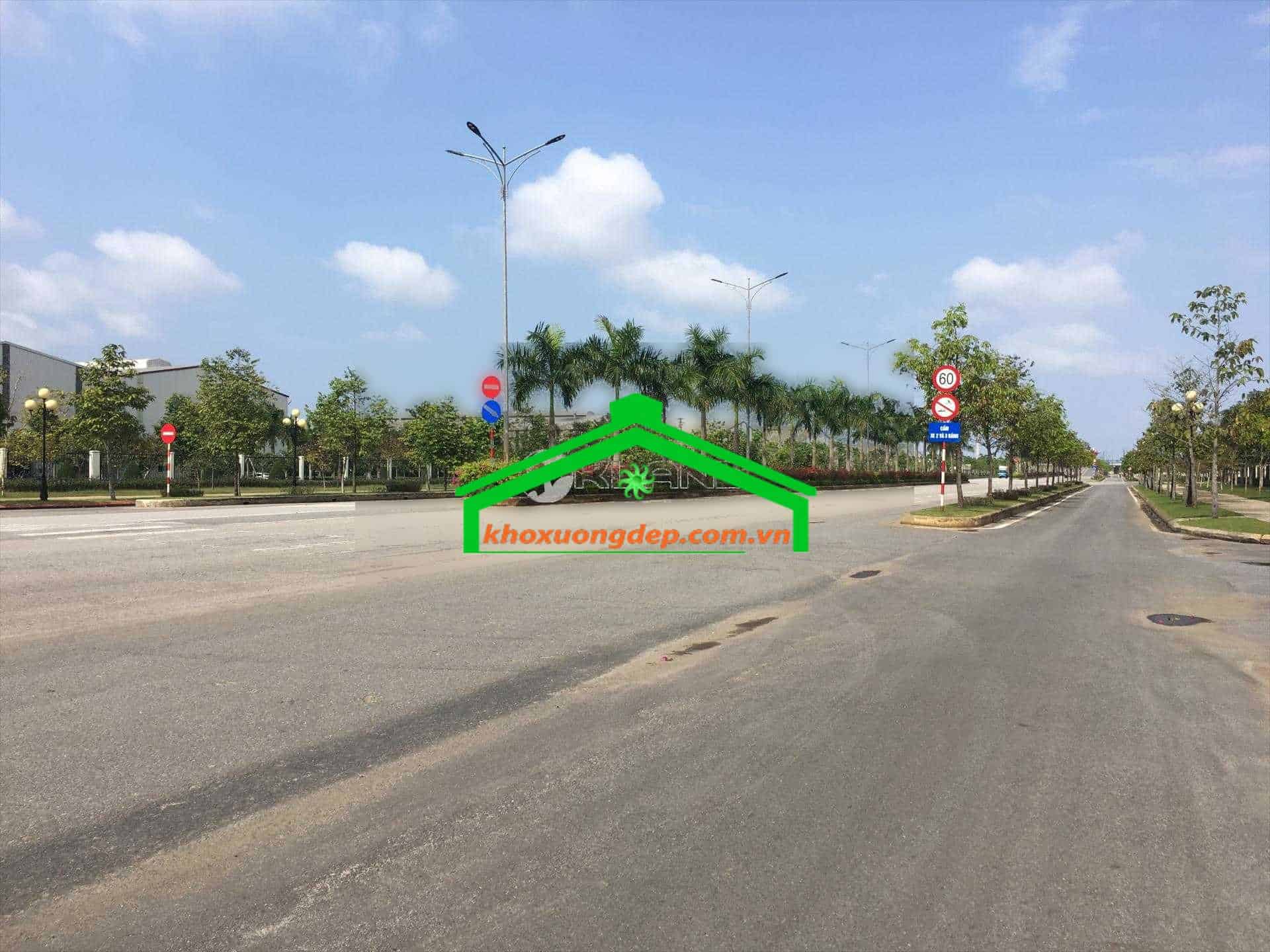 Ảnh 5