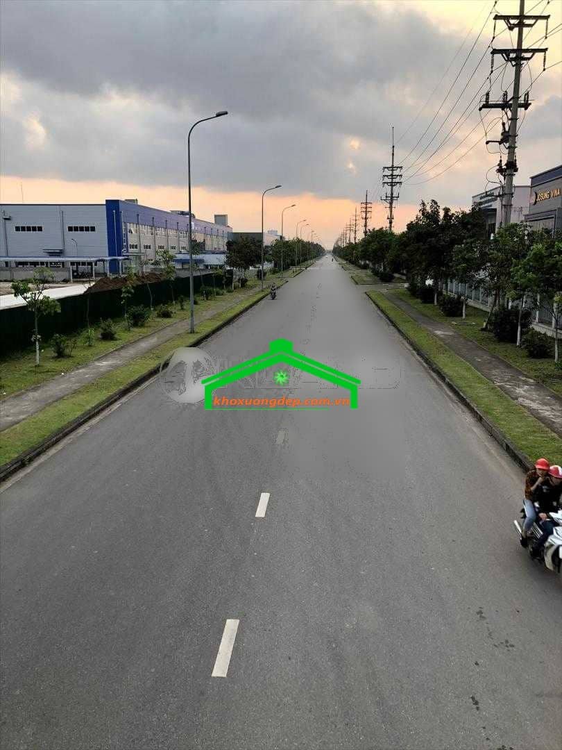 Ảnh 12