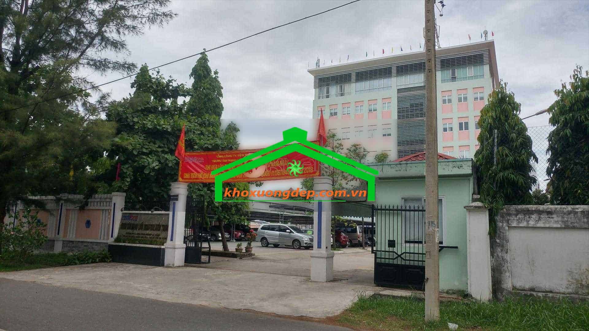Ảnh 5