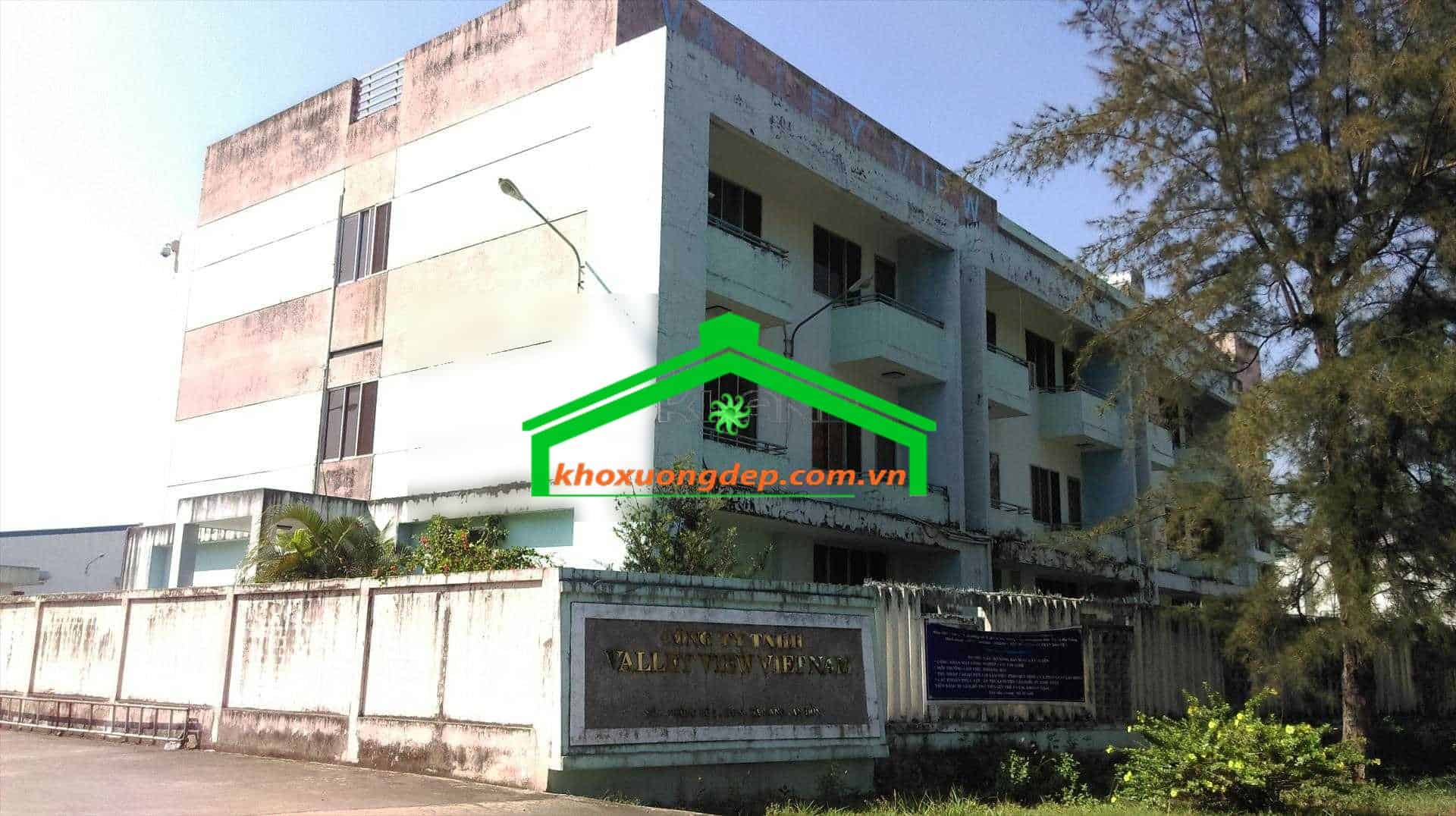 Ảnh 7