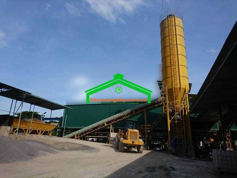 Ảnh 7