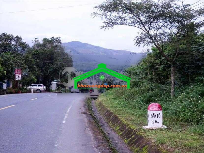 Ảnh 3