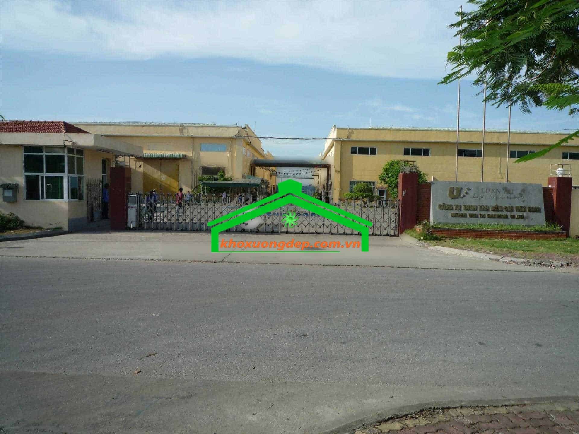 Ảnh 17