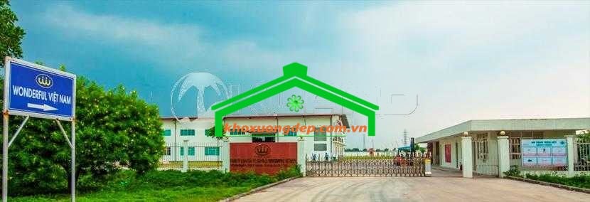 Ảnh 18