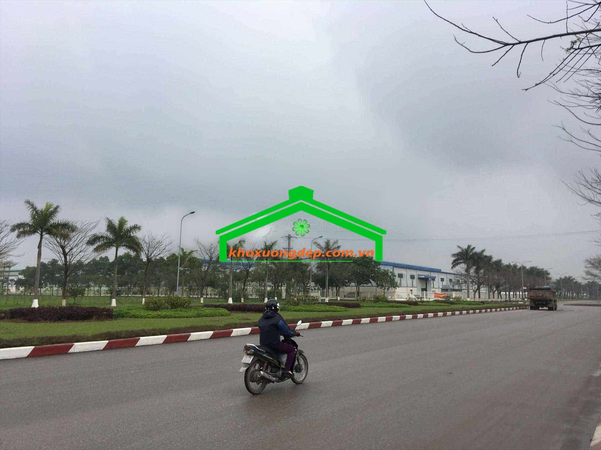 Ảnh 3