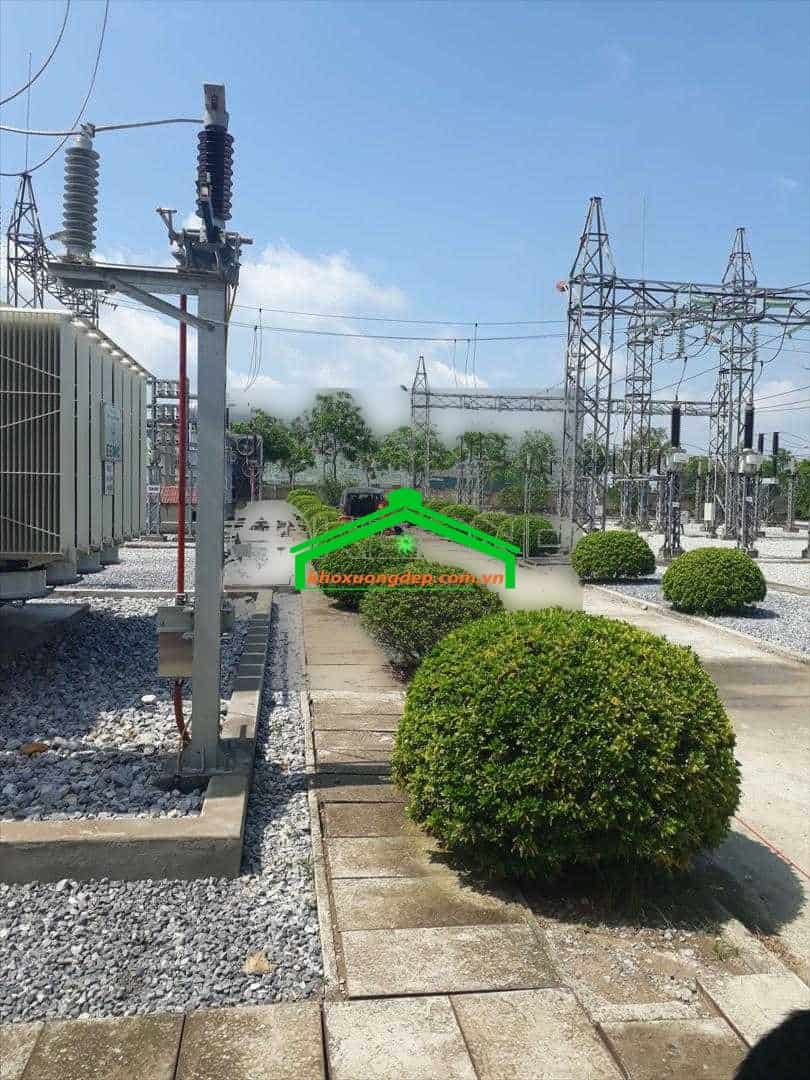 Ảnh 6
