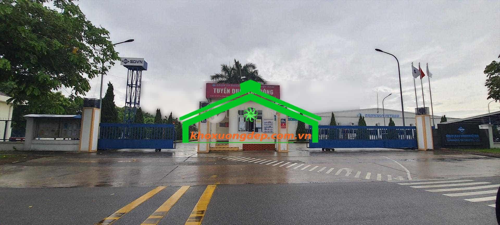Ảnh 10