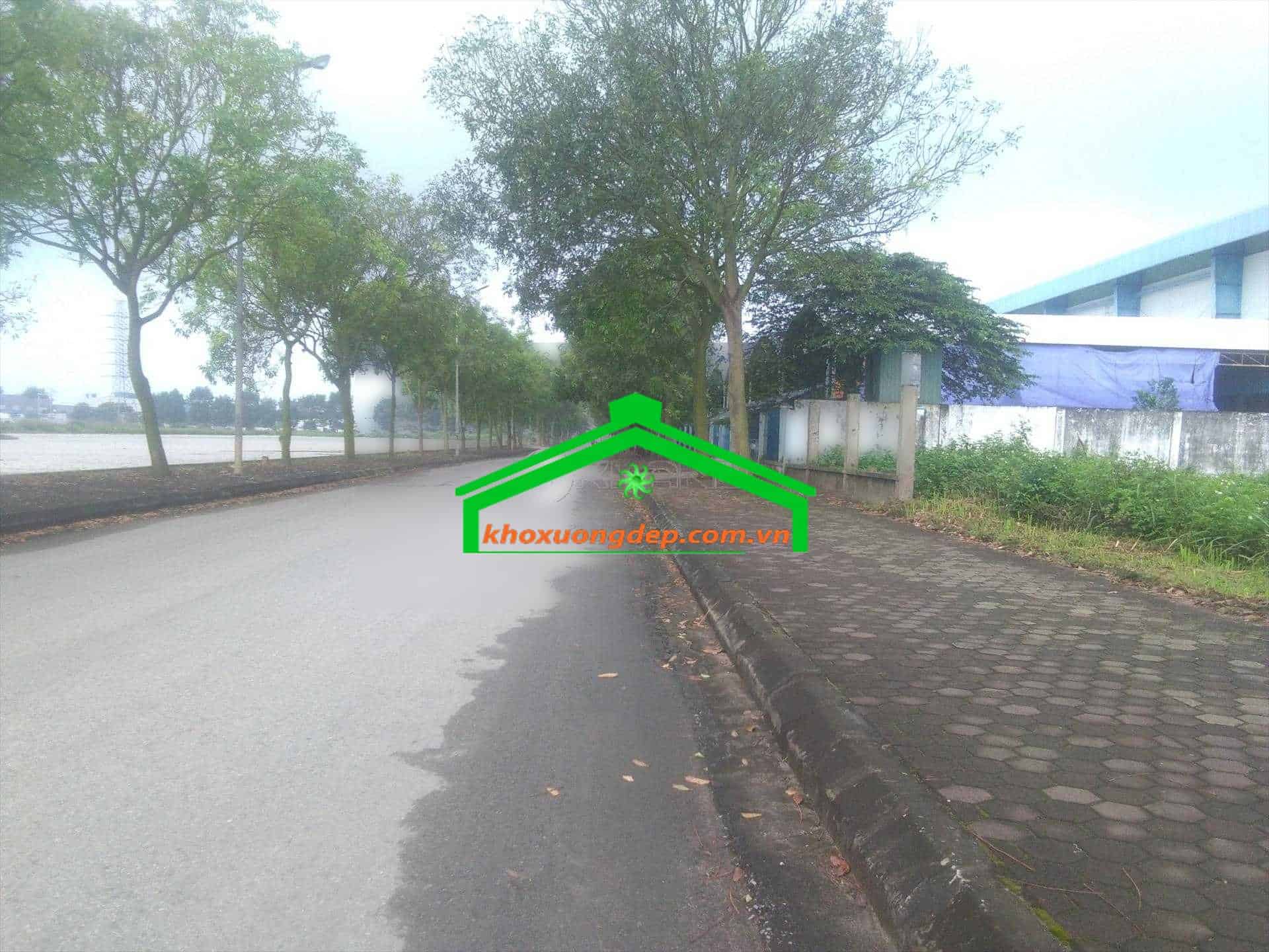 Ảnh 7
