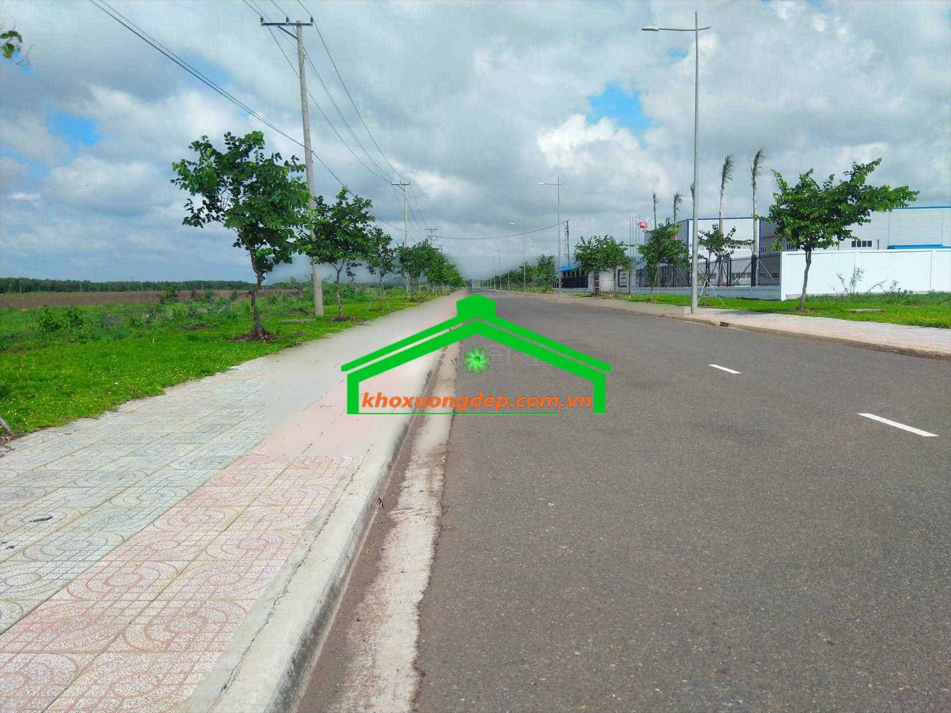 Ảnh 5