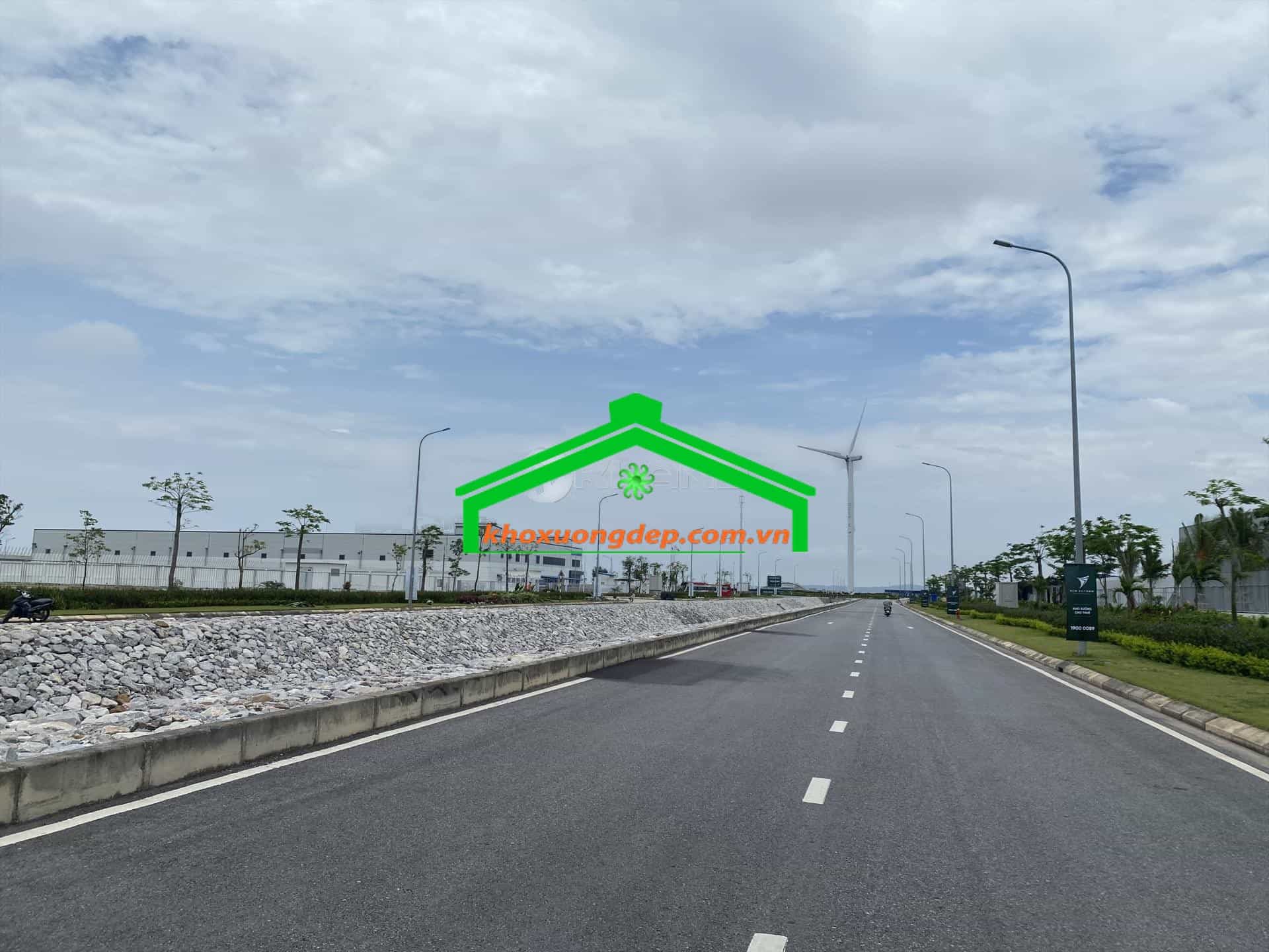 Ảnh 11