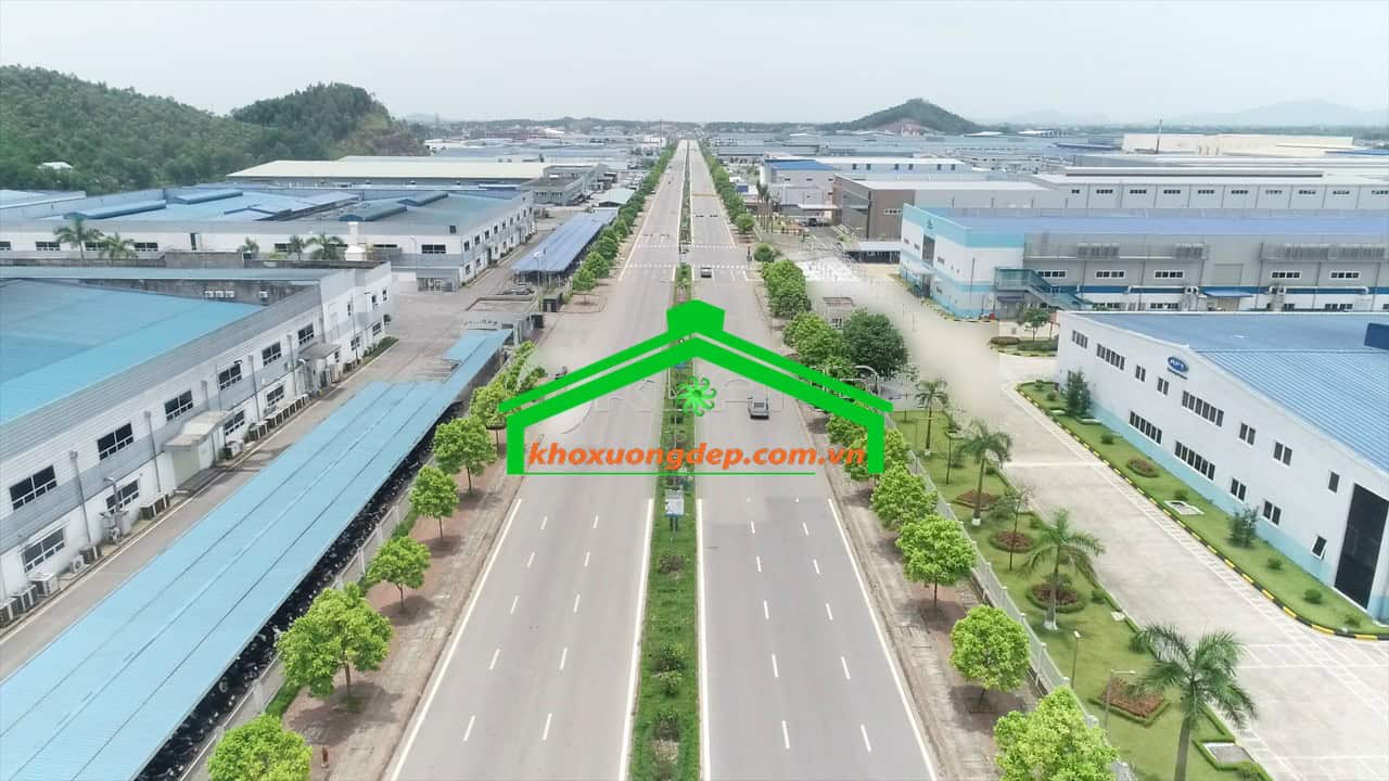 Ảnh 6
