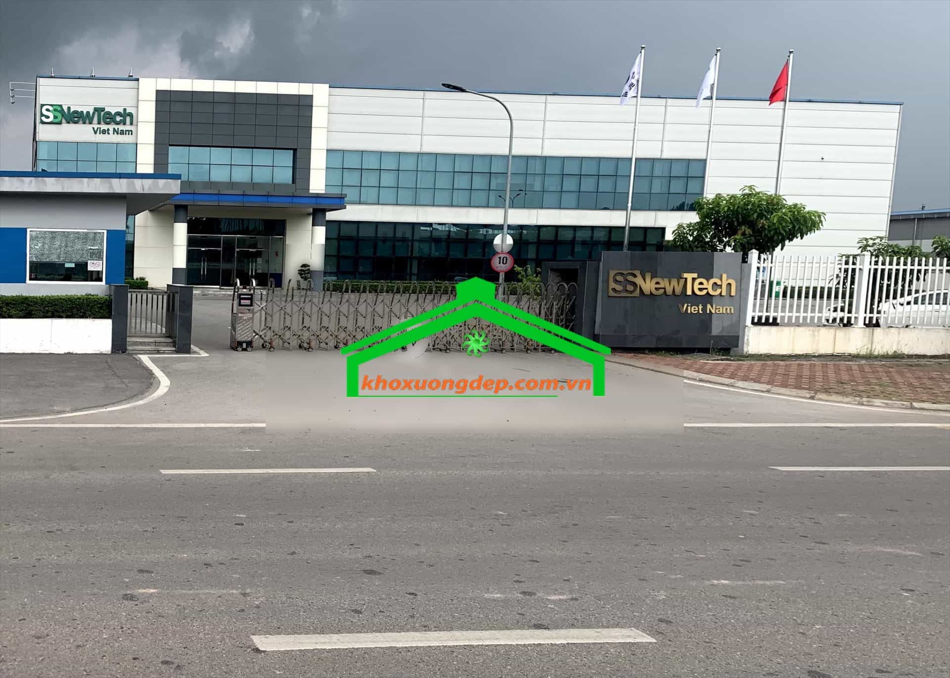 Ảnh 8