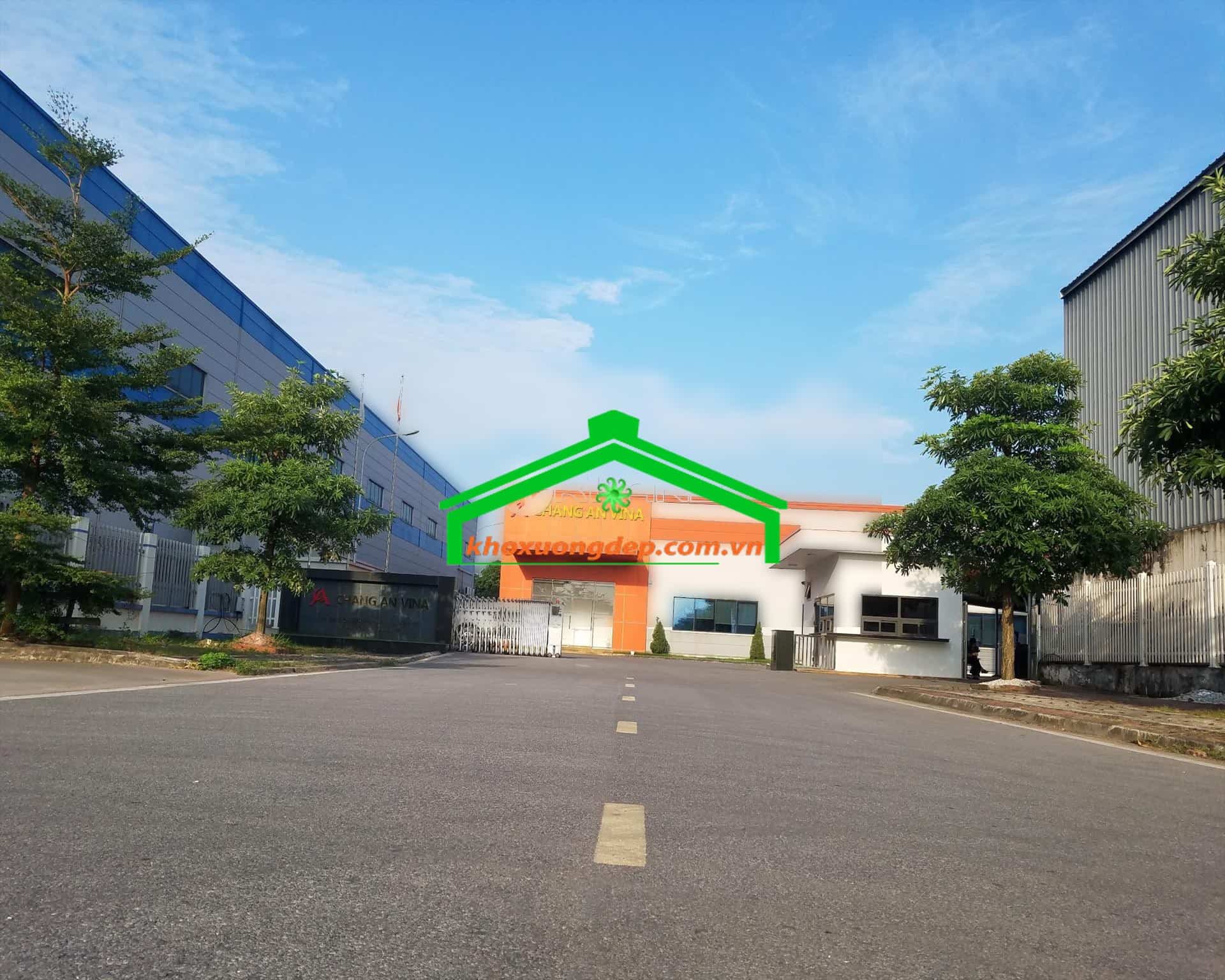 Ảnh 9