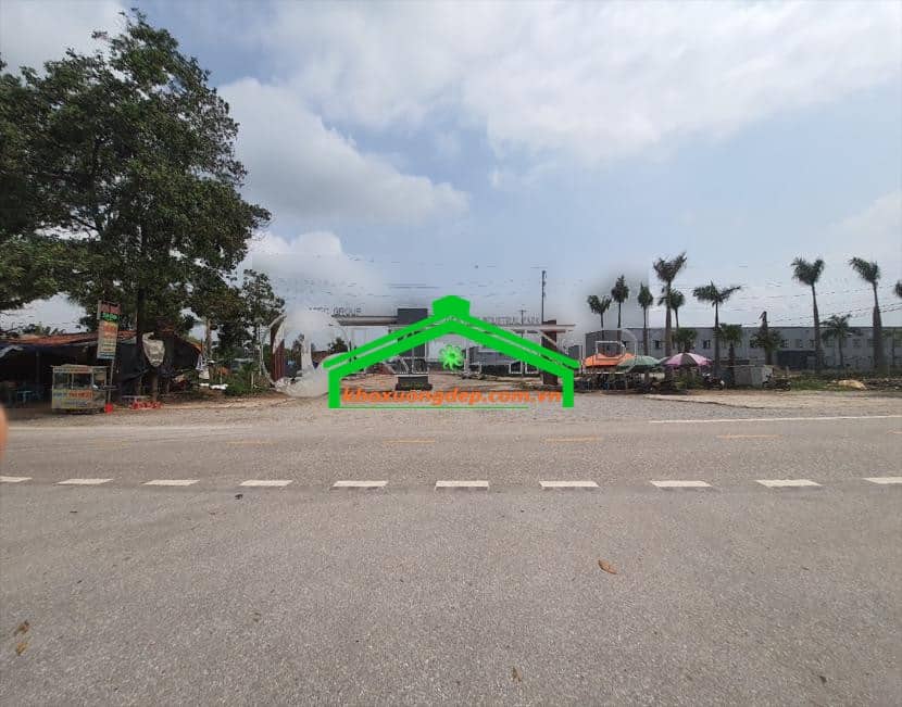 Ảnh 4