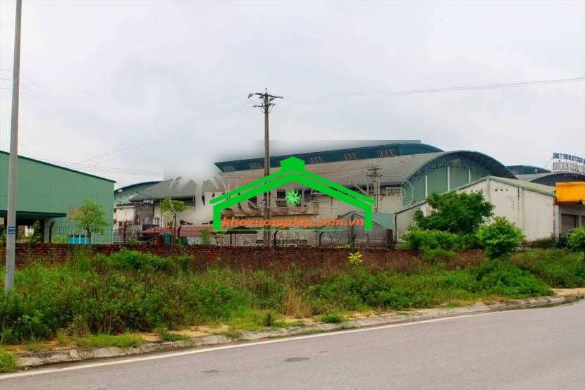 Ảnh 5