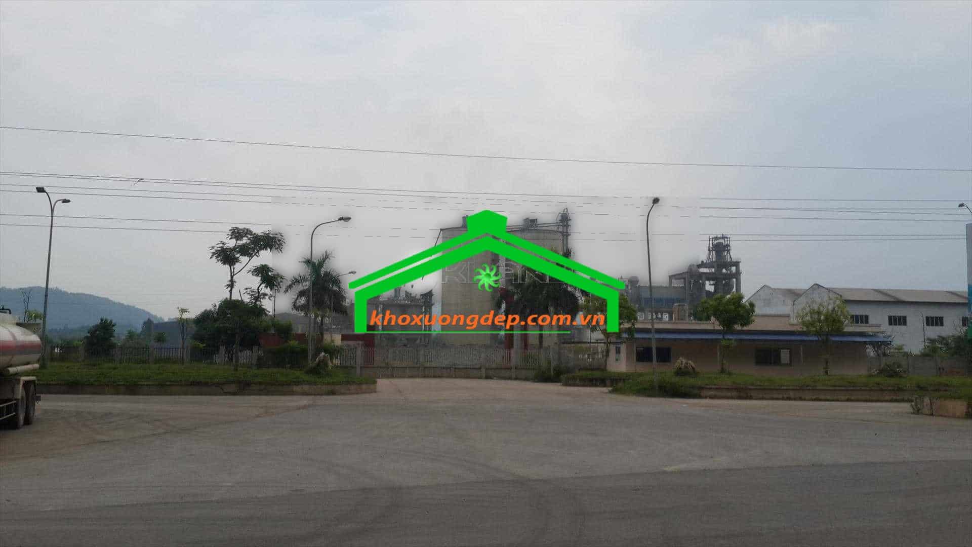 Ảnh 3