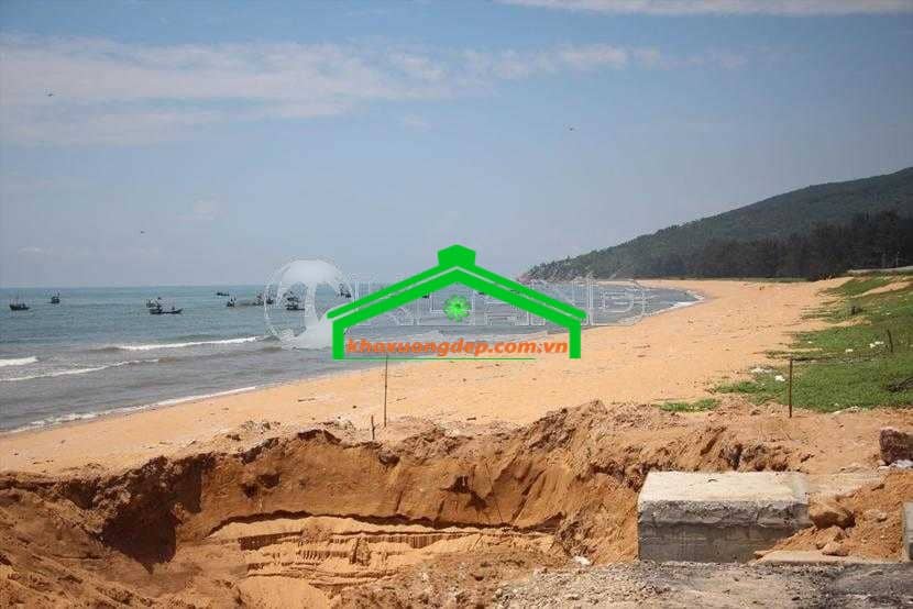 Ảnh 4