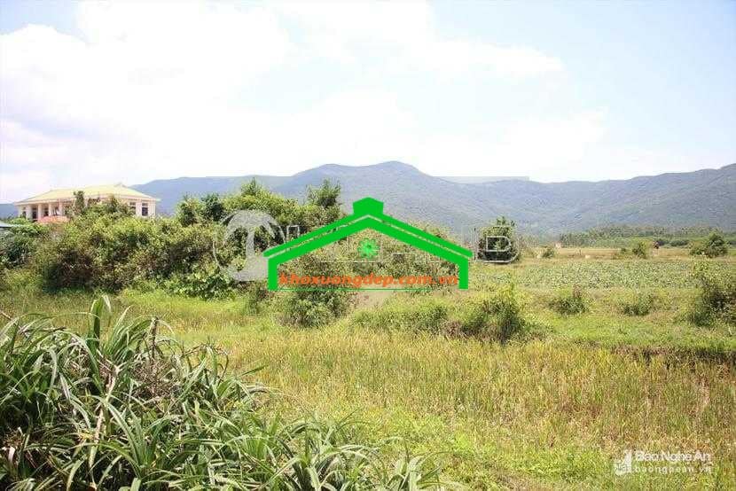 Ảnh 8