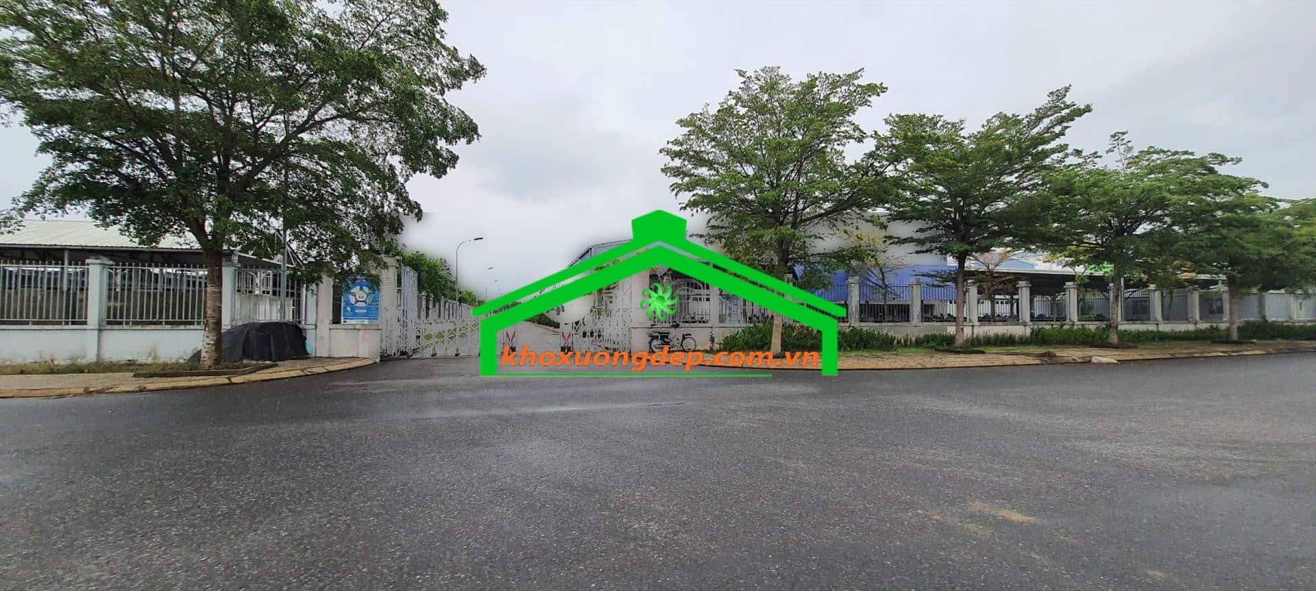 Ảnh 6