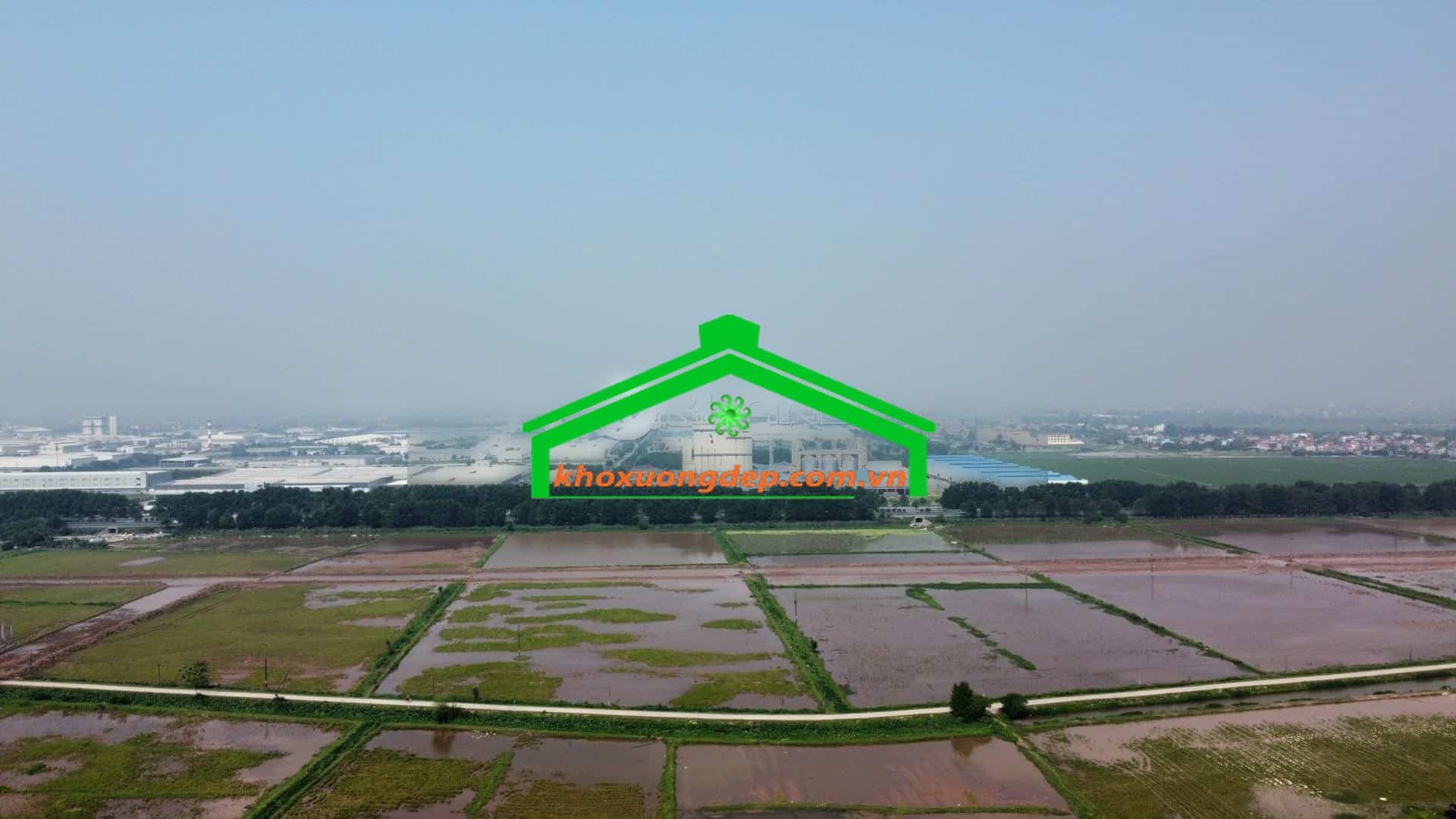 Ảnh 4