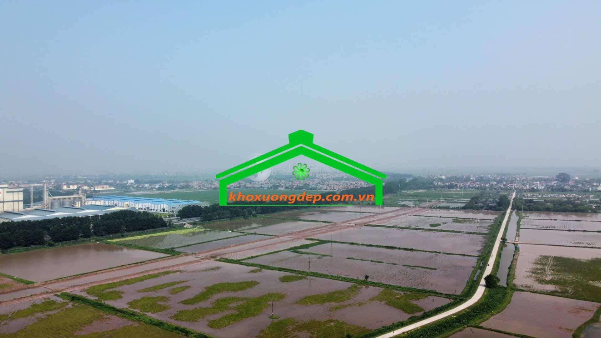 Ảnh 7