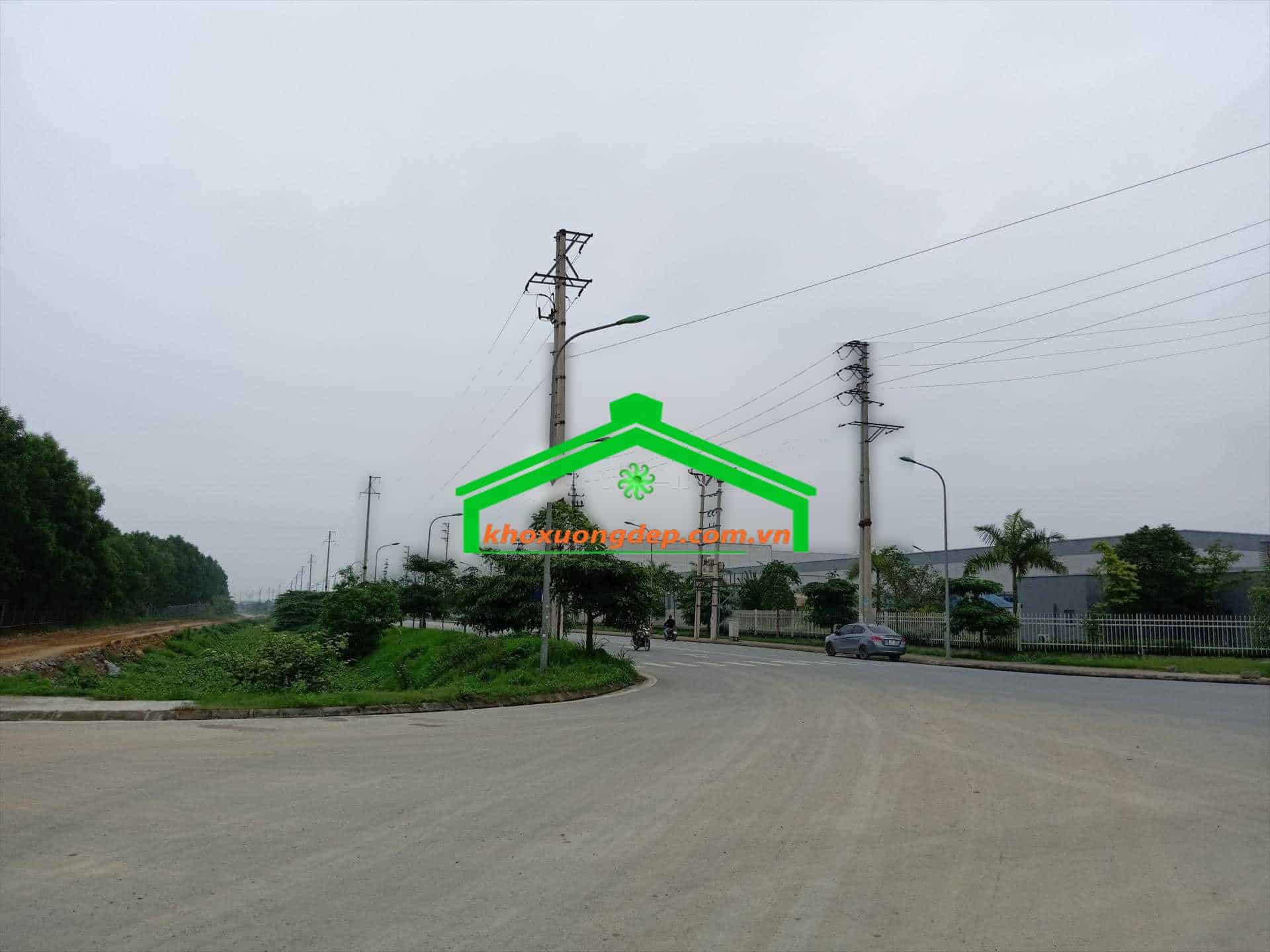 Ảnh 10