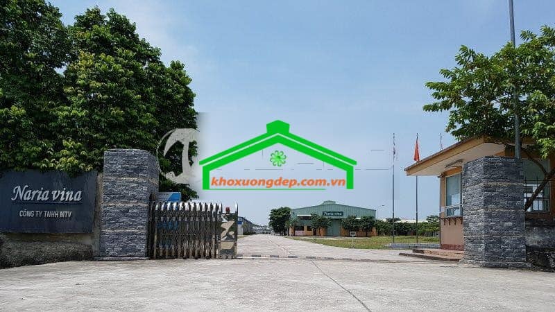 Ảnh 7