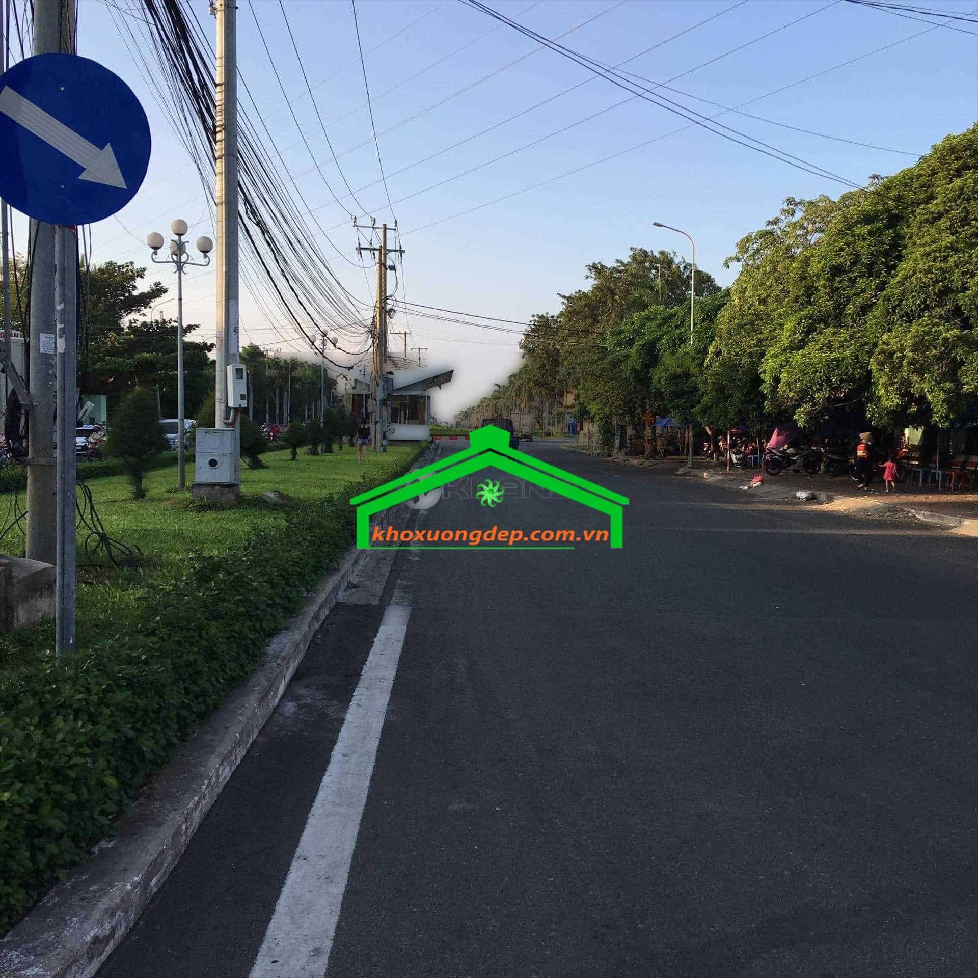 Ảnh 5