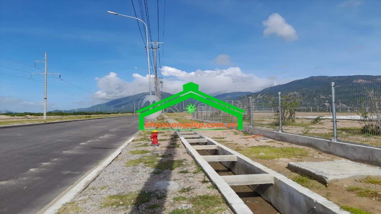 Ảnh 5