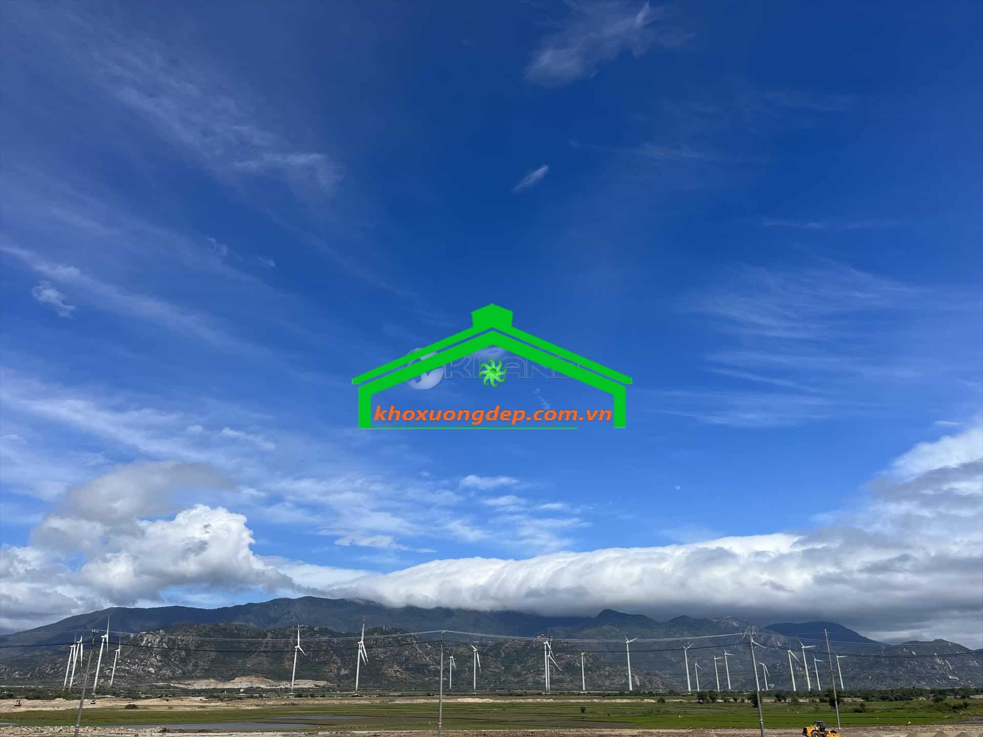 Ảnh 10