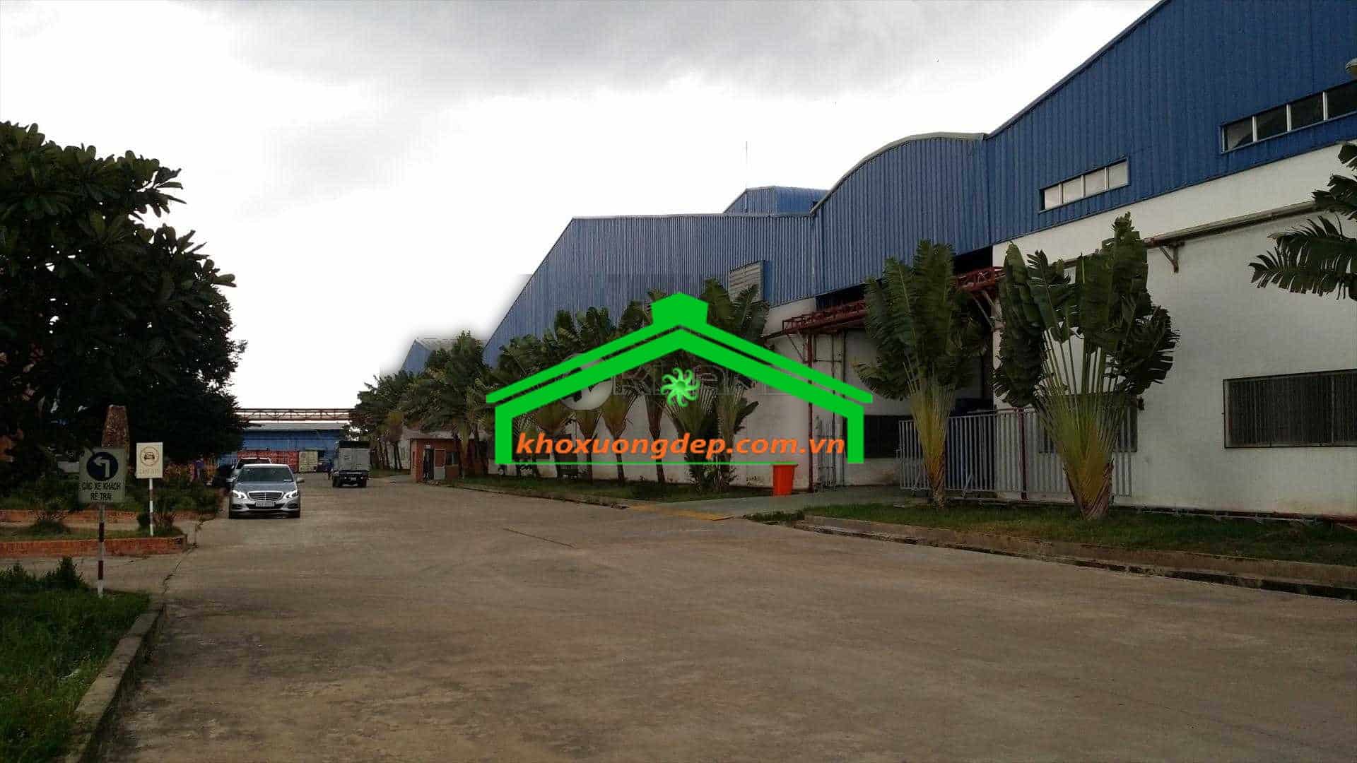 Ảnh 4