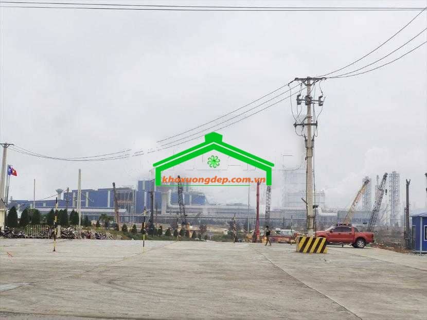 Ảnh 8