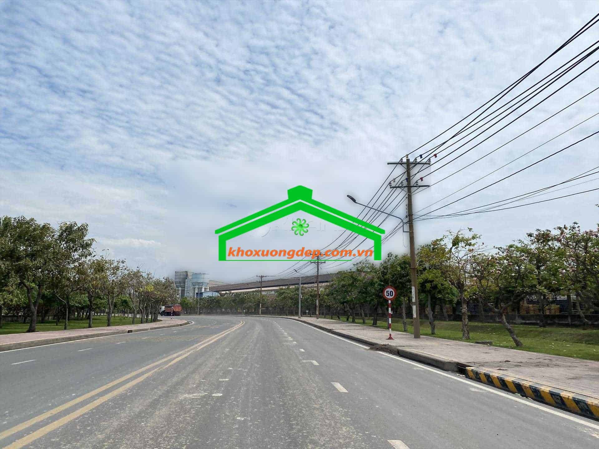 Ảnh 5