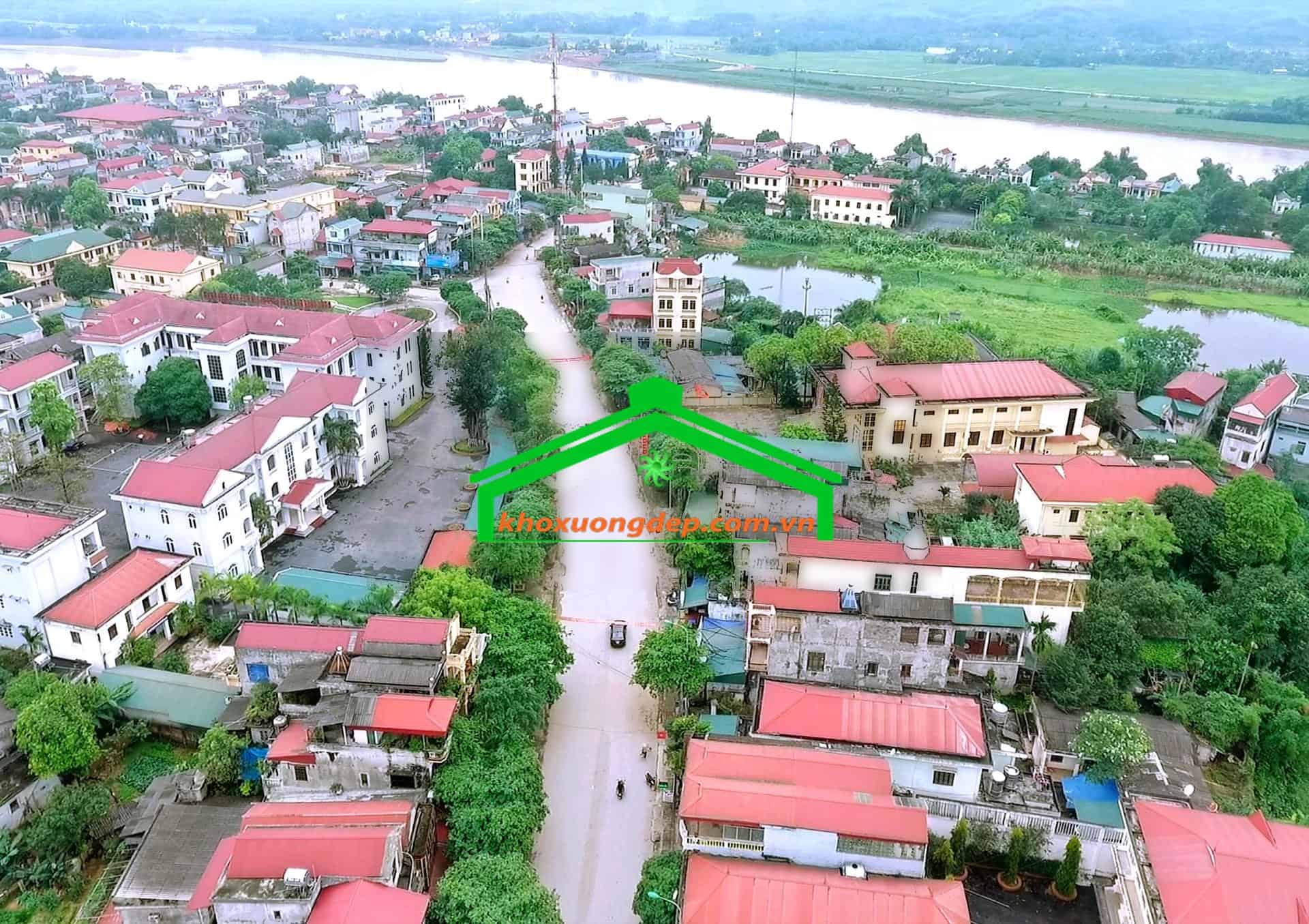 Ảnh 5