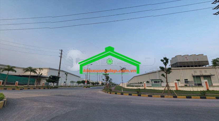 Ảnh 8