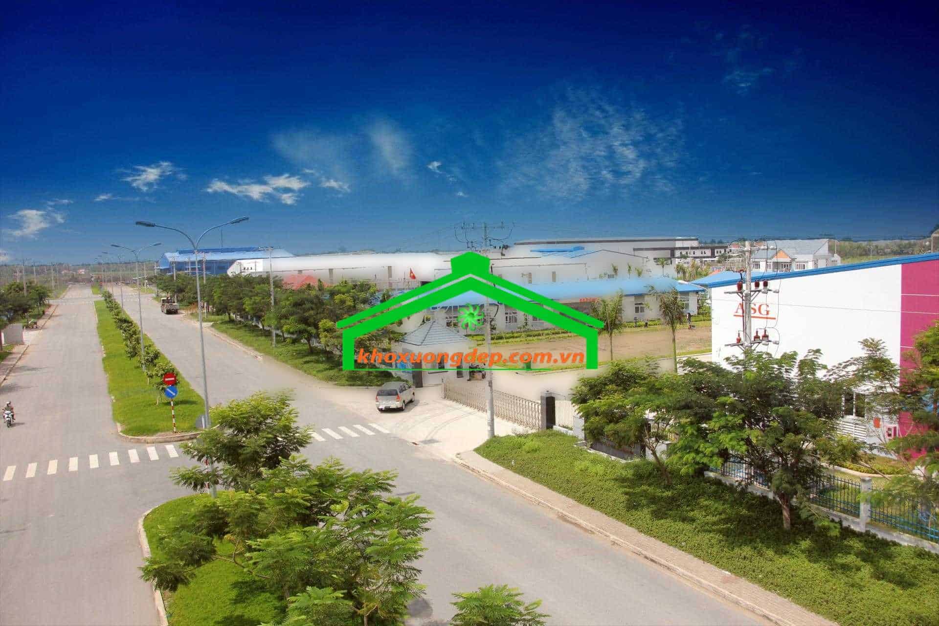 Ảnh 7
