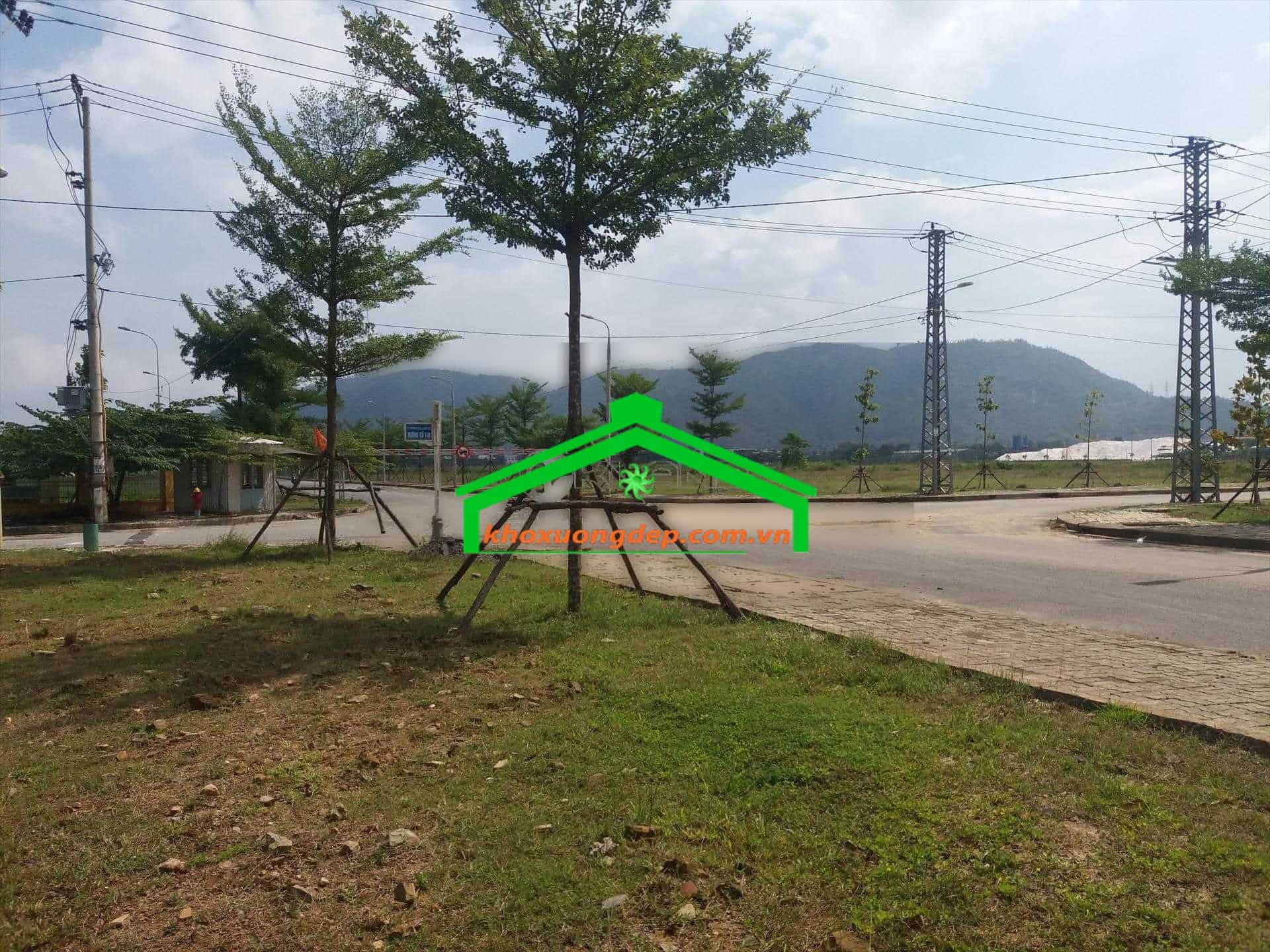 Ảnh 4